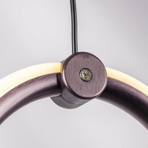 Подвесной светильник Lightstar Caramello 796229 в Заречном - zarechnyy.mebel24.online | фото 10