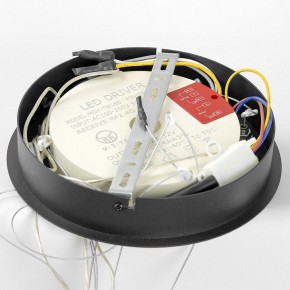 Подвесной светильник Lussole Hale LSP-7380 в Заречном - zarechnyy.mebel24.online | фото 6