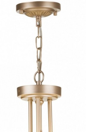 Подвесной светильник Maytoni Roma ARM006PL-06G в Заречном - zarechnyy.mebel24.online | фото 5