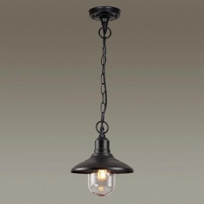 Подвесной светильник Odeon Light Campa 4965/1 в Заречном - zarechnyy.mebel24.online | фото 2