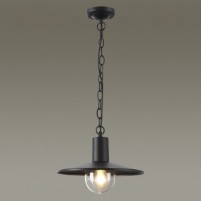 Подвесной светильник Odeon Light Furcadia 4833/1 в Заречном - zarechnyy.mebel24.online | фото 3