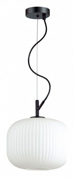 Подвесной светильник Odeon Light Roofi 4753/1 в Заречном - zarechnyy.mebel24.online | фото 2