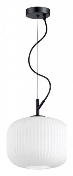 Подвесной светильник Odeon Light Roofi 4753/1 в Заречном - zarechnyy.mebel24.online | фото 3