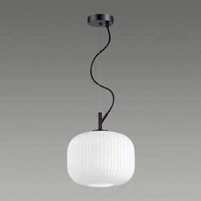 Подвесной светильник Odeon Light Roofi 4753/1 в Заречном - zarechnyy.mebel24.online | фото 4