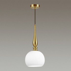 Подвесной светильник Odeon Light Runga 4767/1 в Заречном - zarechnyy.mebel24.online | фото 4
