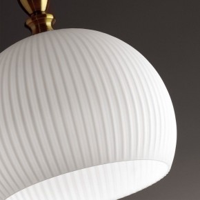 Подвесной светильник Odeon Light Runga 4767/1 в Заречном - zarechnyy.mebel24.online | фото 8