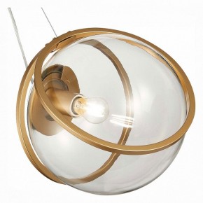 Подвесной светильник ST-Luce Acerra SL1181.313.01 в Заречном - zarechnyy.mebel24.online | фото 2