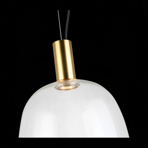 Подвесной светильник ST-Luce Allenore SL1582.313.01 в Заречном - zarechnyy.mebel24.online | фото 9