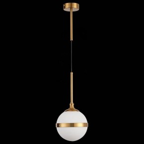 Подвесной светильник ST-Luce Arbe SL1157.303.01 в Заречном - zarechnyy.mebel24.online | фото 4