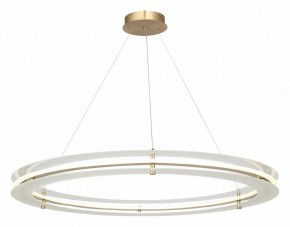 Подвесной светильник ST-Luce FAGY SL6245.213.01 в Заречном - zarechnyy.mebel24.online | фото 4