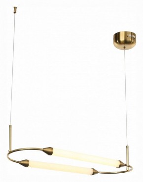 Подвесной светильник ST-Luce Olbia SL6004.313.02 в Заречном - zarechnyy.mebel24.online | фото 4