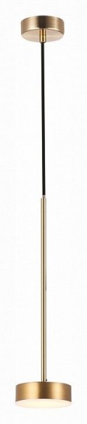 Подвесной светильник ST-Luce Pances SL6000.303.01 в Заречном - zarechnyy.mebel24.online | фото 3