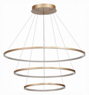 Подвесной светильник ST-Luce ST603 IN ST603.243.114 в Заречном - zarechnyy.mebel24.online | фото 3