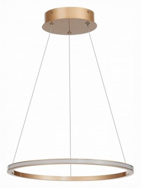 Подвесной светильник ST-Luce ST604 OUT ST604.243.22 в Заречном - zarechnyy.mebel24.online | фото 2