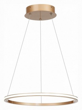 Подвесной светильник ST-Luce ST604 OUT ST604.243.22 в Заречном - zarechnyy.mebel24.online | фото 3