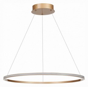 Подвесной светильник ST-Luce ST604 OUT ST604.243.34 в Заречном - zarechnyy.mebel24.online | фото 2