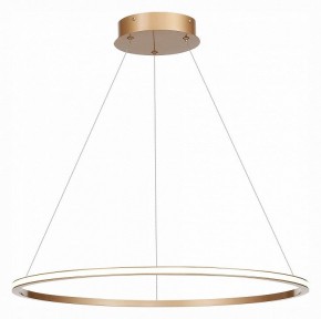 Подвесной светильник ST-Luce ST604 OUT ST604.243.34 в Заречном - zarechnyy.mebel24.online | фото 3