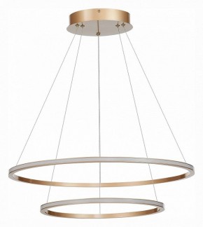 Подвесной светильник ST-Luce ST604 OUT ST604.243.56 в Заречном - zarechnyy.mebel24.online | фото 2