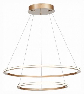 Подвесной светильник ST-Luce ST604 OUT ST604.243.56 в Заречном - zarechnyy.mebel24.online | фото 3