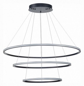 Подвесной светильник ST-Luce ST604 OUT ST604.443.114 в Заречном - zarechnyy.mebel24.online | фото 2