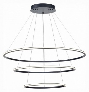 Подвесной светильник ST-Luce ST604 OUT ST604.443.114 в Заречном - zarechnyy.mebel24.online | фото 3