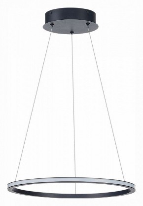 Подвесной светильник ST-Luce ST604 OUT ST604.443.22 в Заречном - zarechnyy.mebel24.online | фото 2
