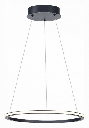Подвесной светильник ST-Luce ST604 OUT ST604.443.22 в Заречном - zarechnyy.mebel24.online | фото 3