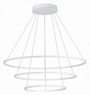 Подвесной светильник ST-Luce ST604 OUT ST604.543.114 в Заречном - zarechnyy.mebel24.online | фото 2