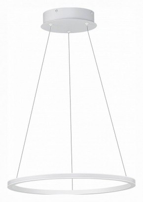 Подвесной светильник ST-Luce ST604 OUT ST604.543.22 в Заречном - zarechnyy.mebel24.online | фото 2