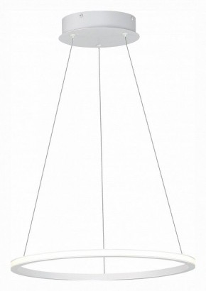 Подвесной светильник ST-Luce ST604 OUT ST604.543.22 в Заречном - zarechnyy.mebel24.online | фото 3