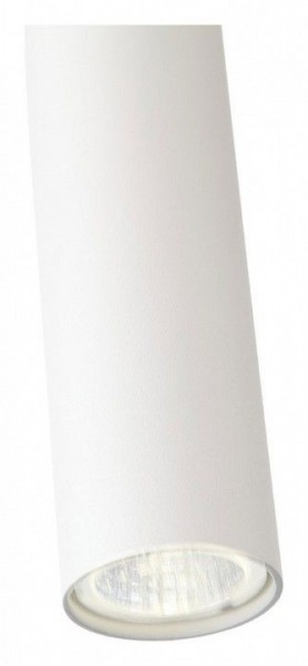 Подвесной светильник ST-Luce Tuore SL1592.503.01 в Заречном - zarechnyy.mebel24.online | фото 11