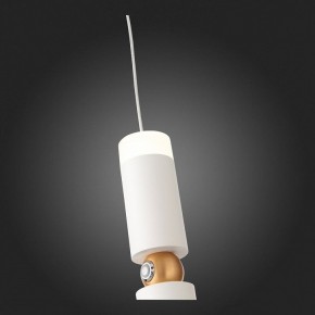 Подвесной светильник ST-Luce Tuore SL1592.503.01 в Заречном - zarechnyy.mebel24.online | фото 5
