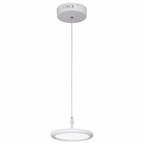 Подвесной светильник Vitaluce V4604 V4604-0/1S в Заречном - zarechnyy.mebel24.online | фото 2
