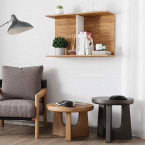 Полка Ион-3 (крафт/белый) в Заречном - zarechnyy.mebel24.online | фото 3