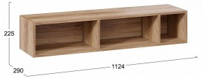 Полка навесная ТД-102.28 в Заречном - zarechnyy.mebel24.online | фото 9