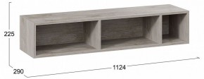 Полка навесная ТД-102.28 в Заречном - zarechnyy.mebel24.online | фото 8