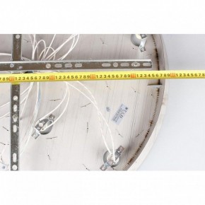Потолочная люстра Aployt Teresa APL.855.06.10 в Заречном - zarechnyy.mebel24.online | фото 16