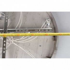 Потолочная люстра Aployt Teresa APL.855.16.10 в Заречном - zarechnyy.mebel24.online | фото 12