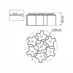 Потолочная люстра Lightstar Nubi 802070 в Заречном - zarechnyy.mebel24.online | фото 6