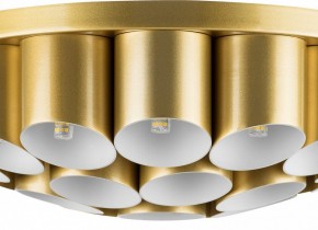 Потолочная люстра Lightstar Siena 720222 в Заречном - zarechnyy.mebel24.online | фото 3