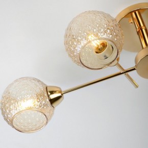 Потолочная люстра Rivoli Amalia Б0050815 в Заречном - zarechnyy.mebel24.online | фото 8