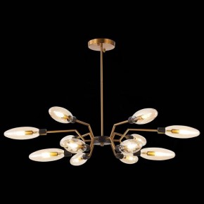 Потолочная люстра ST-Luce Desima SL1174.303.12 в Заречном - zarechnyy.mebel24.online | фото 2