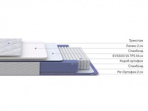 PROxSON Матрас Active Duo S/F (Ткань Трикотаж Эко) 160x195 в Заречном - zarechnyy.mebel24.online | фото 1