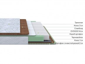 PROxSON Матрас Green Duo M/F (Tricotage Dream) 80x200 в Заречном - zarechnyy.mebel24.online | фото 1