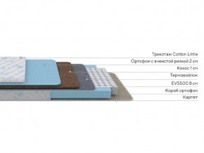 PROxSON Матрас Совенок (Print) 60x150 в Заречном - zarechnyy.mebel24.online | фото 2