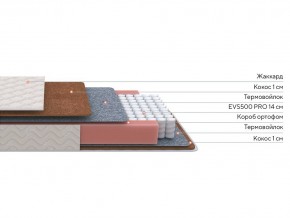 PROxSON Матрас Standart F Roll (Ткань Синтетический жаккард) 120x200 в Заречном - zarechnyy.mebel24.online | фото 2