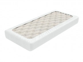 PROxSON Защитный чехол Aqua Save Light M (Ткань влагостойкая Tencel Jersey) 80x195 в Заречном - zarechnyy.mebel24.online | фото 2