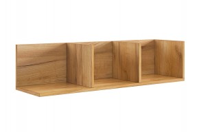 РИЧ Полка навесная 2 в Заречном - zarechnyy.mebel24.online | фото