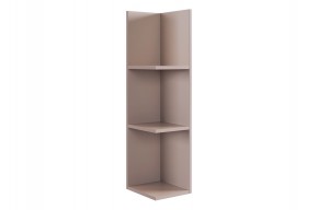 РИЧ Полка навесная 2 (кашемир) в Заречном - zarechnyy.mebel24.online | фото 4