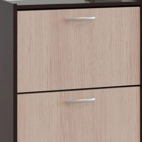 Шкаф для обуви ТО-24 в Заречном - zarechnyy.mebel24.online | фото 4